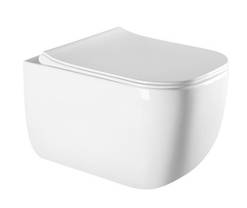 Унитаз подвесной Milleau BRIOT MYL232GW