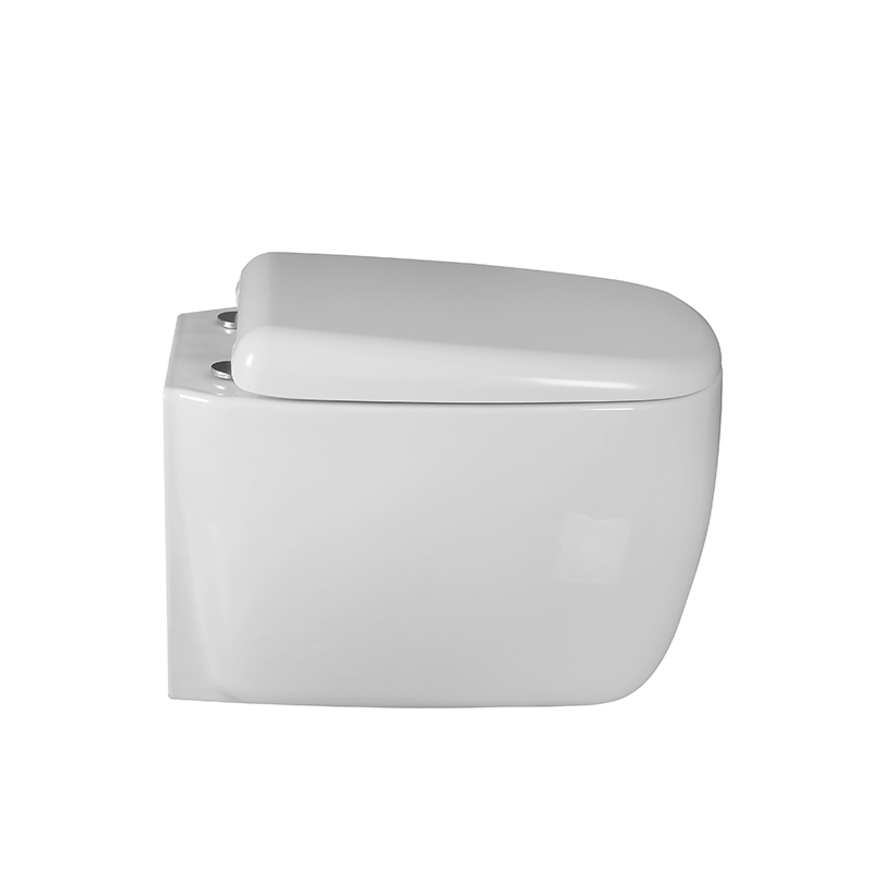 Унитаз подвесной Milleau MIEL MYL042SGW белый глянец 16324₽