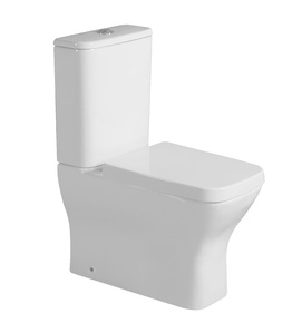 Унитаз напольный Milleau RUBIS MYL320GW