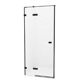 Душевая дверь в нишу New Trendy AVEXA BLACK 80x200 EXK-1546 стекло прозрачное, профиль черный