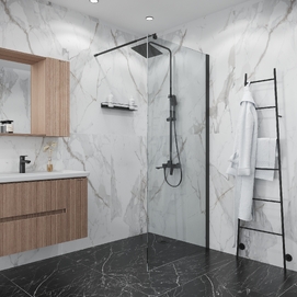 Душевая перегородка Walk In Niagara Eco NG-551-70BLACK