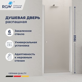 Душевая дверь в нишу RGW Dolphin TN-03 90x195 54930309-11 стекло прозрачное, профиль хром