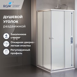 Душевой уголок RGW Dolphin TN-206-J(4) 90x90 матовое стекло (28912699-101)