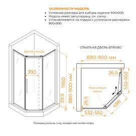 Фото Душевой уголок RGW Passage 90x90 PA-86 стекло тонированное, профиль хром (38088699-31N)