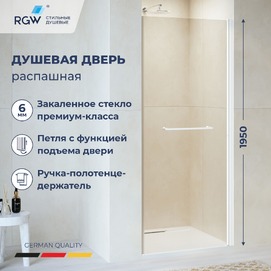 Душевая дверь в нишу RGW Passage 020810308-15