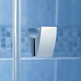 Фото Душевая дверь Ravak Pivot PDOP2-100 Satin/Trans
