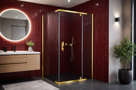 Душевой уголок Royal Bath HPVD RB9130HPVD-T-GP