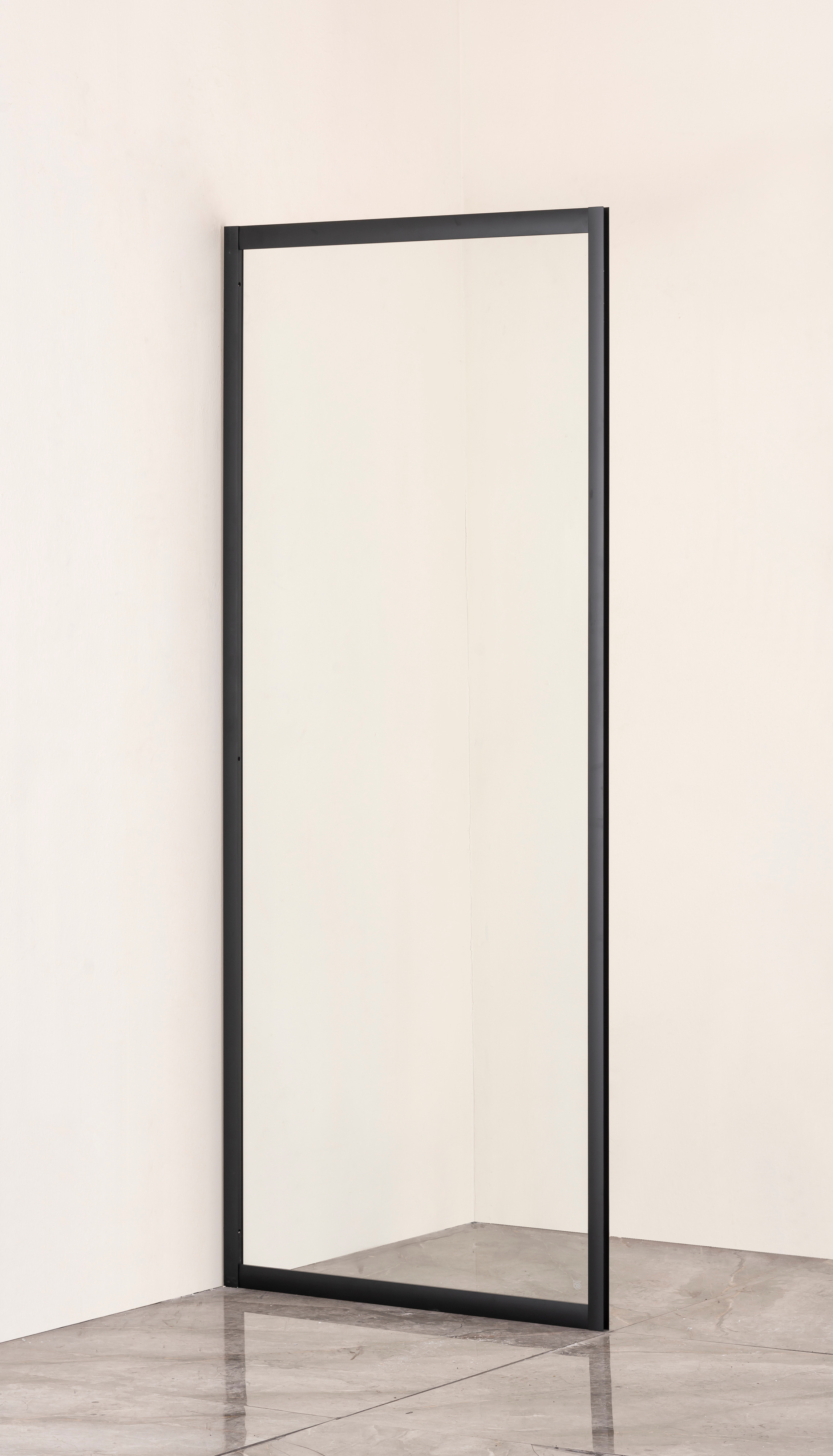 Боковая стенка Taliente 100x195 см TA-10-1CB стекло прозрачное профиль черный 11300₽