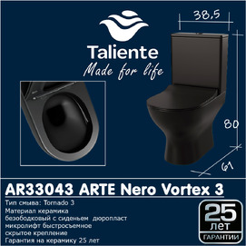 Фото Унитаз напольный Taliente Арте (Arte) Vortex 3 AR33043 Nero черный матовый, безободковый, быстросъемное сиденье с микролифтом