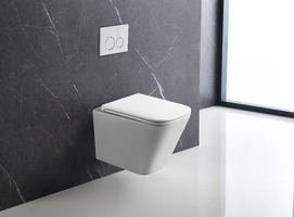 Унитаз подвесной Terminus Ватикан 03W49x34W