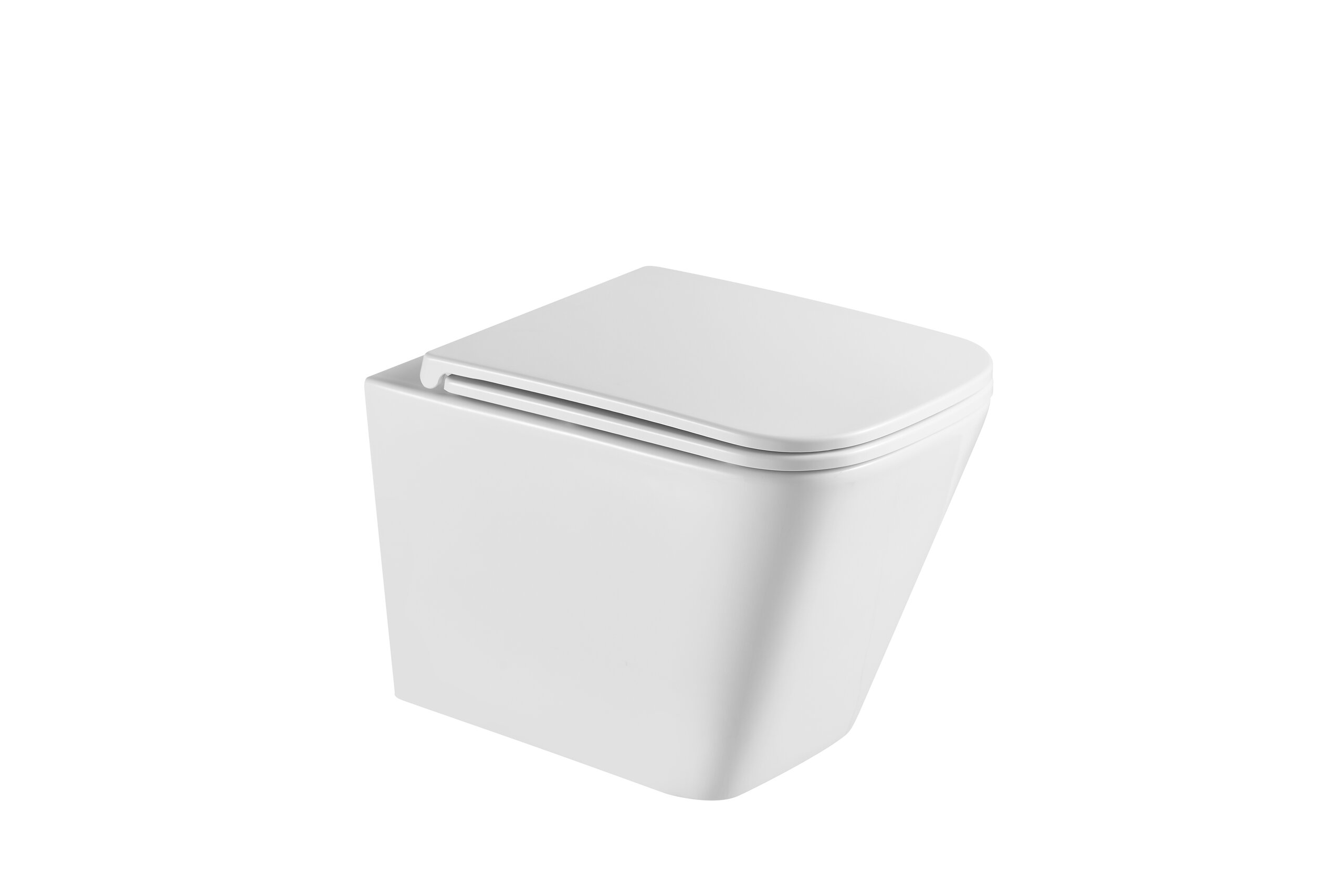 Унитаз подвесной Terminus Ватикан 03W49x34W безободковый с сиденьем микролифт белый 16990₽