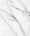   Tessoro Rivoli 120 Bianco Carrara 0