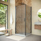 Фото Душевой уголок Vegas-Glass EP-Fis NOVO h2000 80*110 11 Moru L  профиль оружейная сталь, стекло Moru 0