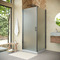 Фото Душевой уголок Vegas-Glass EP-Fis NOVO h2000 90*100 11 10 L  профиль оружейная сталь, стекло сатин 0
