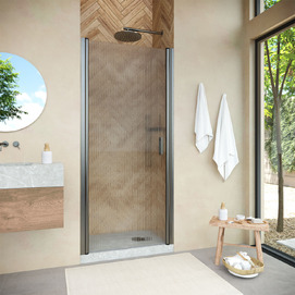 Душевая дверь в нишу Vegas-Glass EP NOVO h2000 EP NOVO h2000 60 11 Moru