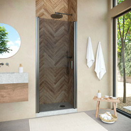 Душевая дверь в нишу Vegas-Glass EP NOVO h2000 EP NOVO h2000 65 11 07