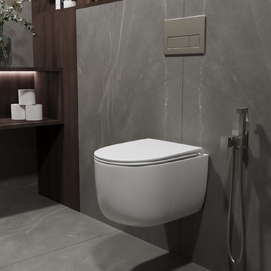 Подвесной унитаз Vincea Evo VT1-64ST безободковый, с сиденьем микролифт, белый глянцевый