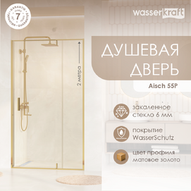 Душевая дверь в нишу Wasserkraft Aisch 55P05 100x200, профиль золото