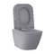 Фото Подвесной унитаз Wellsee Pure BY Wellsee 182605001 безободковый, с крышкой микролифт, матовый серый 2