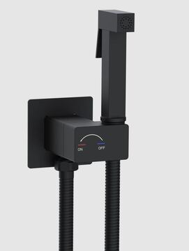 Гигиенический душ со смесителем для унитаза WeltWasser Higi 10000013666