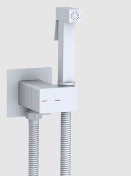 Гигиенический душ со смесителем для унитаза WeltWasser HIGI Q01 WT белый матовый