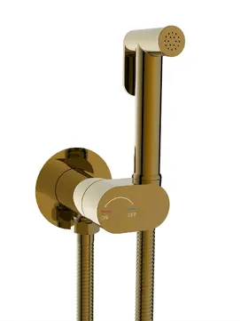 Гигиенический душ со смесителем для унитаза WeltWasser Higi 10000013654