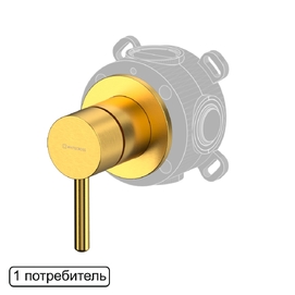 Встраиваемый смеситель для душа Whitecross Y Y1241GLB